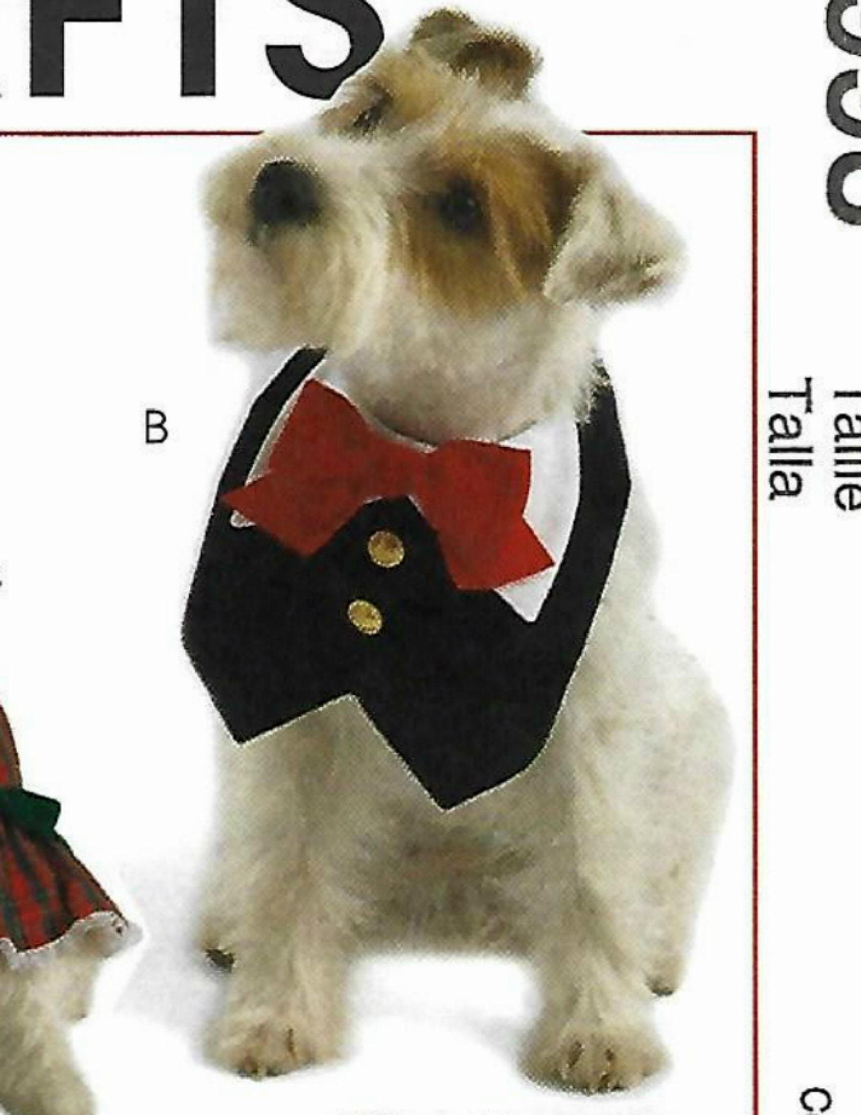 Dog Clothing pattern cape coats leggings bib dress robe Etsy