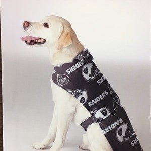 May include: A Labrador Retriever wearing a black and white Raiders dog coat. The coat features the Raiders logo and text. The image is from a Simplicity sewing pattern, with the text "IT'S SO EASY" and the price $1.97.