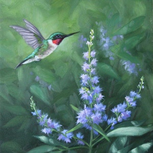 Hummingbird painting - Ruby throated hummingbird - bird painting - hummingbird print - Open edition print