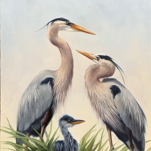 Heron - blue heron - heron painting - heron family - bird art - realistic art - bird painting - Heron in nest - bird print - Molly Sims art