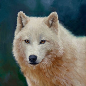 wolf - white wolf - wolf painting - wolf art - realistic art - wolf print - animal art - beautiful wolf - Molly Sims art