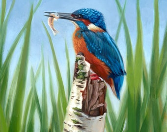 Kingfisher - Blue kingfisher - bird painting - waterfowl - realistic bird art - bird painting - Molly Sims art