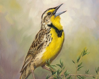 Meadowlark Painting - bird painting - Bird art - Meadowlark - yellow bird - giclee print - songbird - Open edition print - bird print