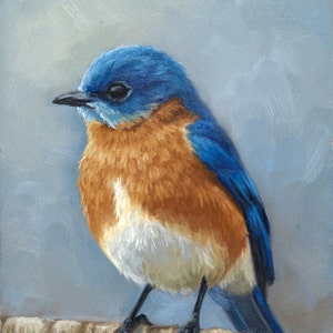 Eastern Bluebird - bird painting - Open edition print