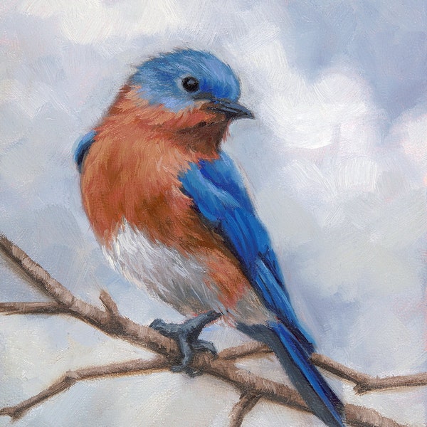 Eastern Bluebird - bird painting - Open edition print - bluebird - bird painting - bird art - bird paintings - small bird - bluebird art