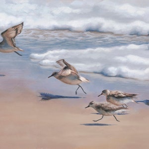 Speedy Retreat - Sanderlings - Bird painting - Bird print - sanderling art - bird art - ocean painting - waterfowl art