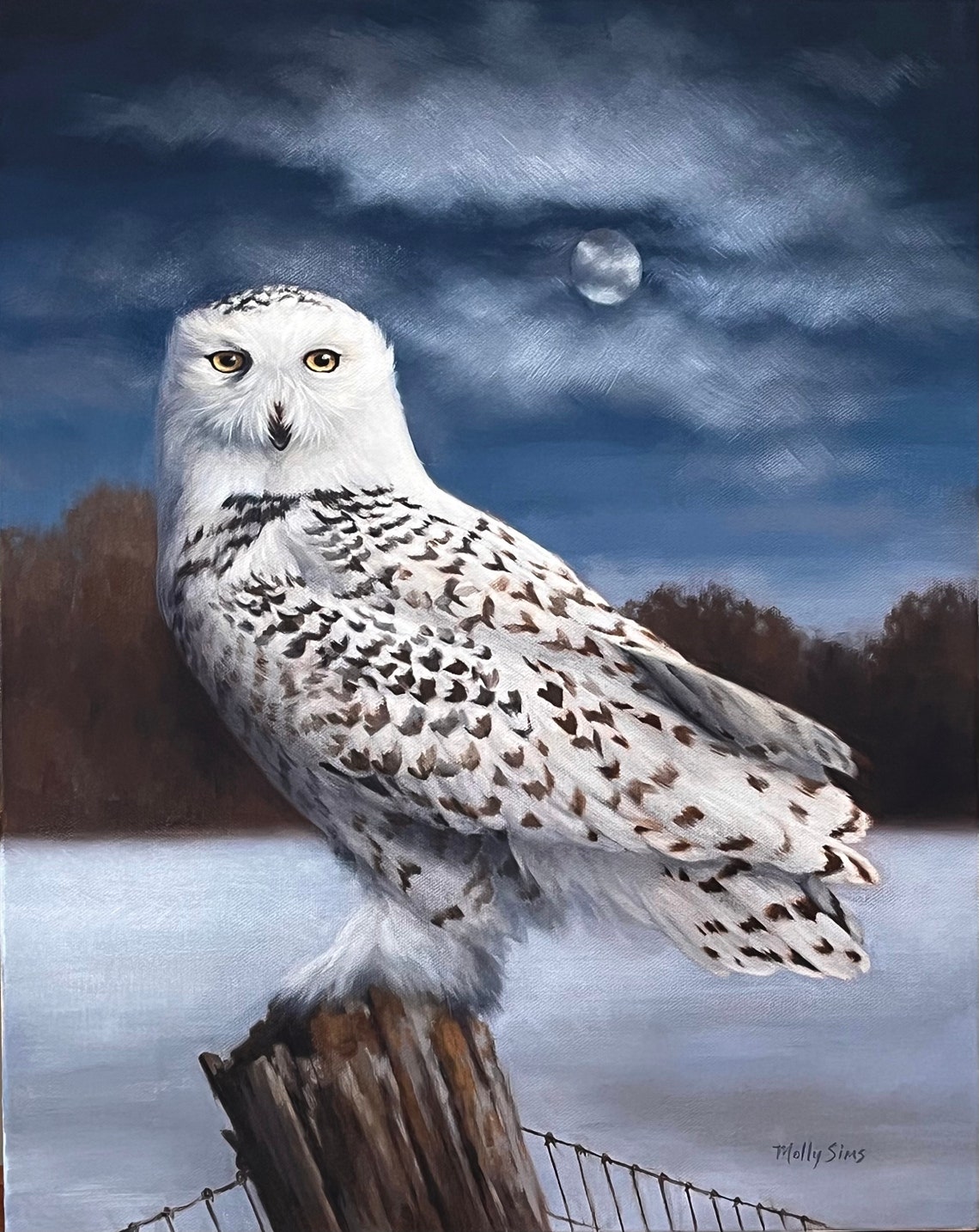 Owl - Snowy Owl - Owl Painting - Owl Print - Owl Art - Snowy Owl Art ...