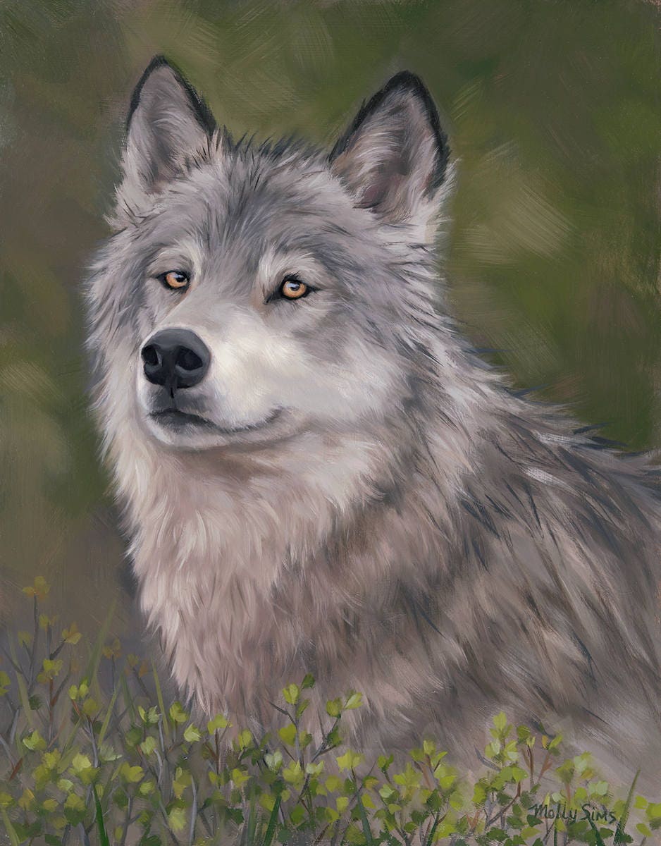 Grey Wolf Painting