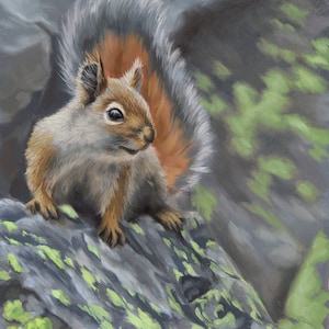 Squirrel - Squirrel painting - squirrel art - squirrel painting -animal art -wildlife art - Open edition print