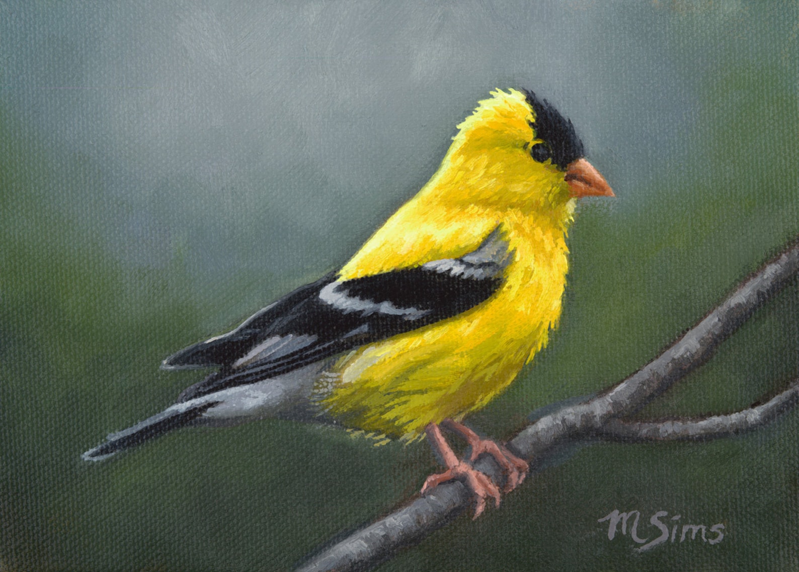 Goldfinch Art Print Bird Painting American Goldfinch - Etsy