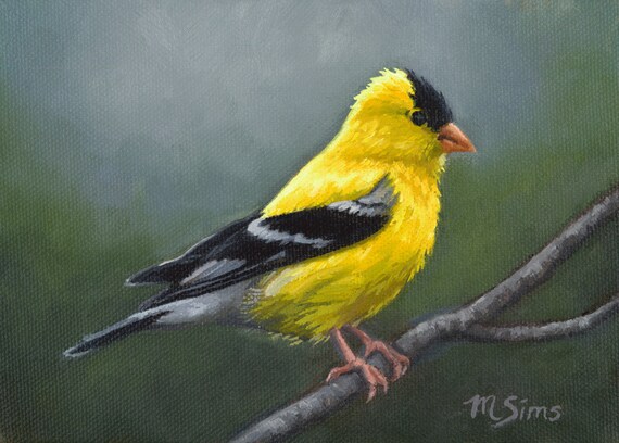 Goldfinch Art Print bird painting American Goldfinch Etsy