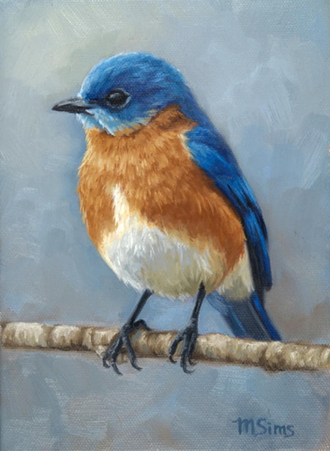 Eastern Bluebird Bird Painting Open Edition Print Etsy