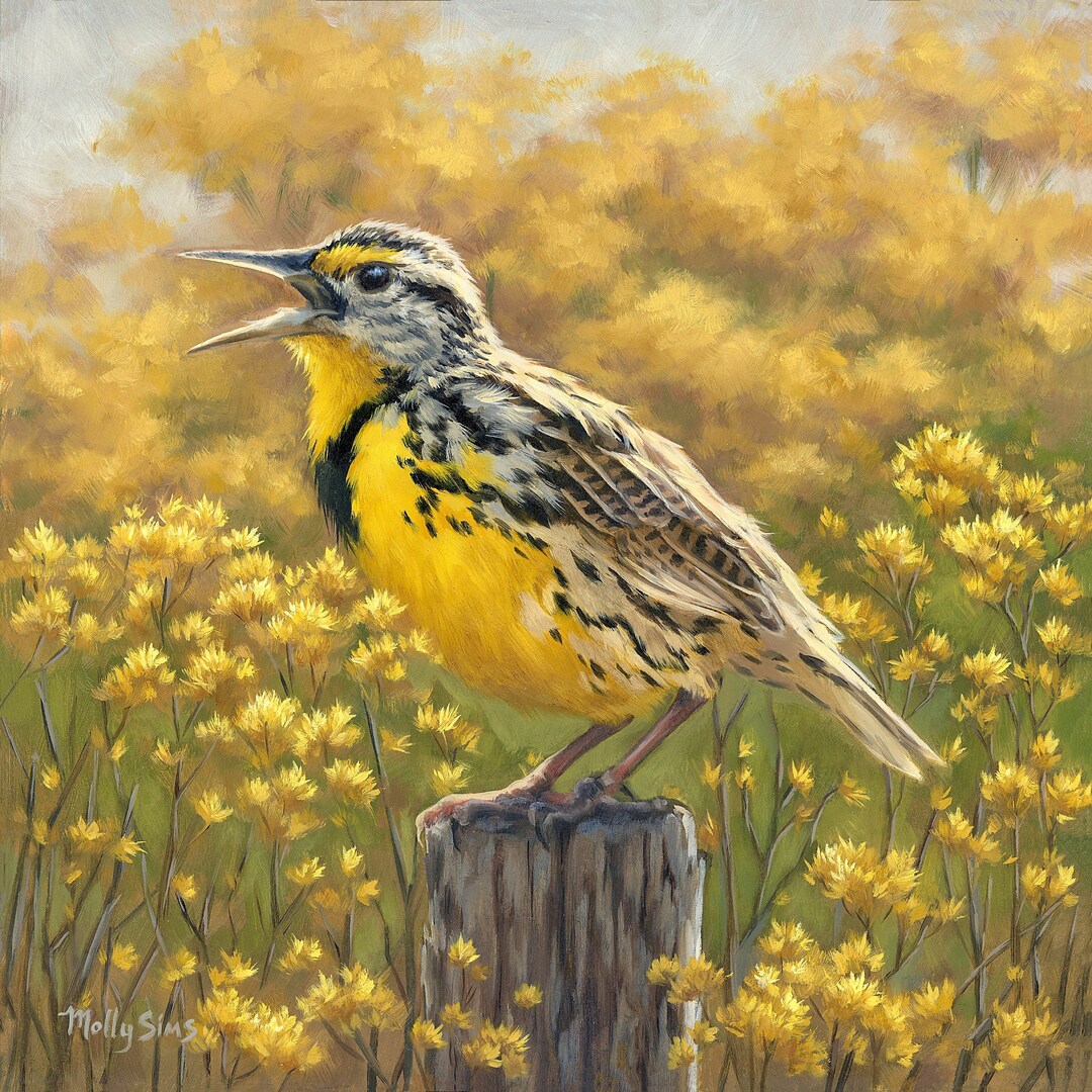 Meadowlark Painting - Bird Painting - Bird Art - Meadowlark - Yellow