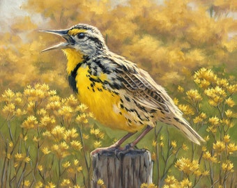 Meadowlark Painting - bird painting - Bird art - Meadowlark - yellow bird - giclee print - songbird - Open edition print - bird print