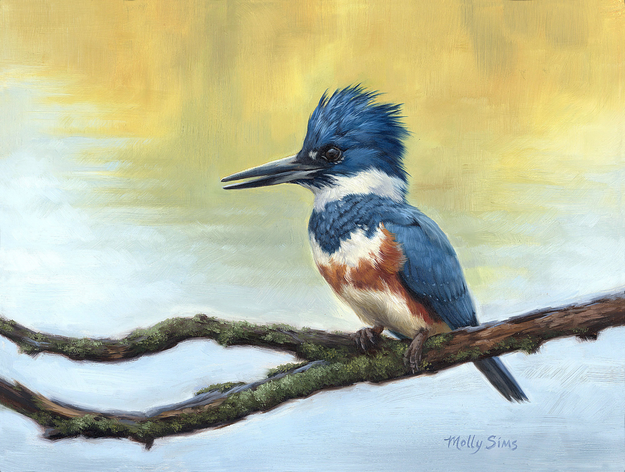 Kingfisher - Kingfisher painting - bird art - realistic art - bird painting -  waterfowl - bird print - Molly Sims art
