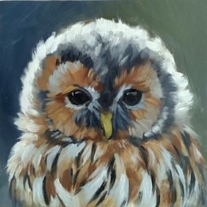 Owl print - tawny owl - owl painting - bird painting - fine art print - bird painting