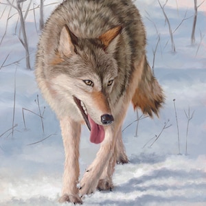 Wolf - wolf painting - wolf print - wolf art - gray wolf - timber wolf - wildlife painting - animal art
