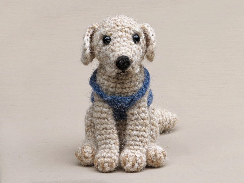 Crochet pattern for Golden Boy, realistic crochet golden retriever / labrador dog amigurumi Instant download PDF File image 4