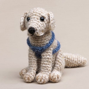 Crochet pattern for Golden Boy, realistic crochet golden retriever / labrador dog amigurumi - Instant download PDF File