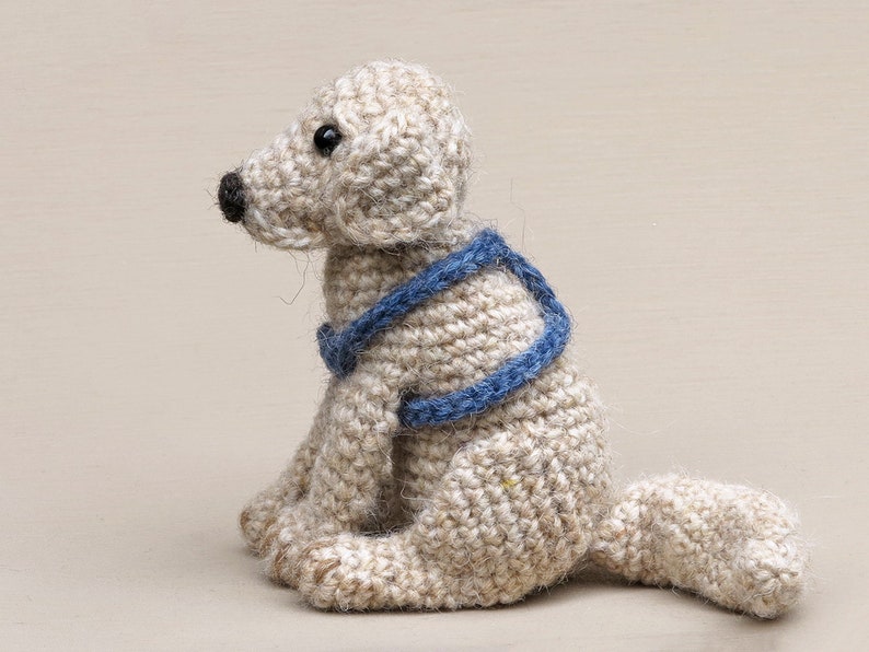 Crochet pattern for Golden Boy, realistic crochet golden retriever / labrador dog amigurumi Instant download PDF File image 10