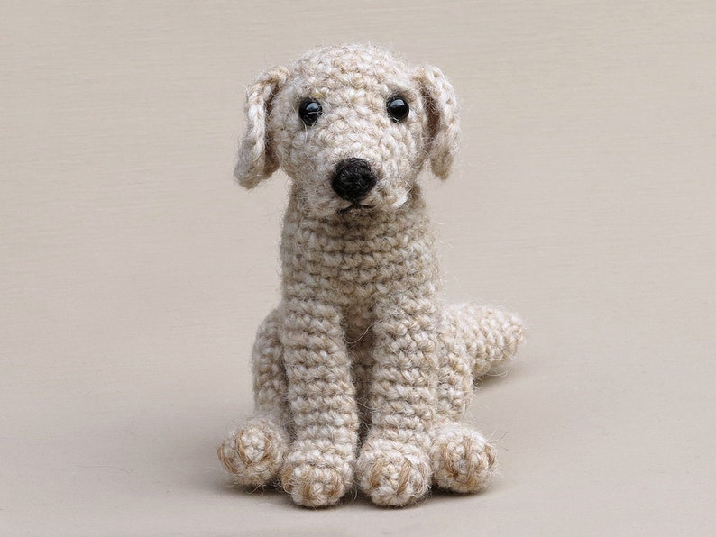 Crochet pattern for Golden Boy, realistic crochet golden retriever / labrador dog amigurumi Instant download PDF File image 5