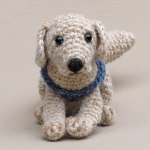 Crochet pattern for Golden Boy, realistic crochet golden retriever / labrador dog amigurumi Instant download PDF File image 3