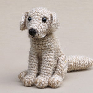 Crochet pattern for Golden Boy, realistic crochet golden retriever / labrador dog amigurumi Instant download PDF File image 7