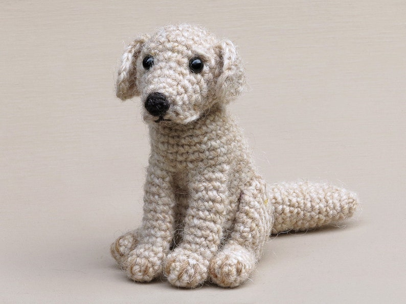 May include: A crocheted cream-colored dog toy with black eyes and a black nose. The dog is sitting with its tail curled around its legs.