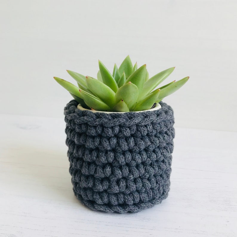 May include: A succulent plant in a white pot with a gray crocheted cover. The cover is made of thick yarn and has a textured pattern.
