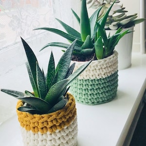 Easy crochet pattern, plant pot cosy, instant download, pdf tutorial image 2