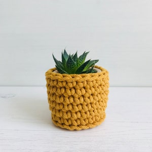 Easy crochet pattern, plant pot cosy, instant download, pdf tutorial image 5