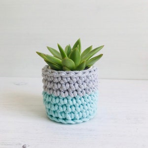 May include: A small succulent plant in a white pot, with a crocheted gray and light blue cover. The pot is sitting on a white wooden surface.