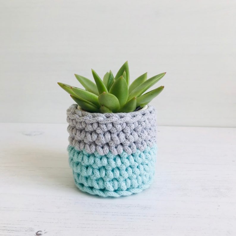 May include: A small succulent plant in a white pot, with a crocheted gray and light blue cover. The pot is sitting on a white wooden surface.