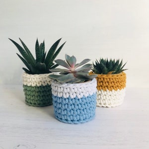 May include: Three crocheted plant pots in different colors, green, blue, and yellow, with white accents. Each pot contains a succulent plant.
