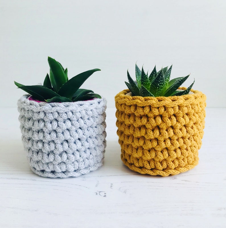 Succulent planter small plant pot cover teachers gift Etsy