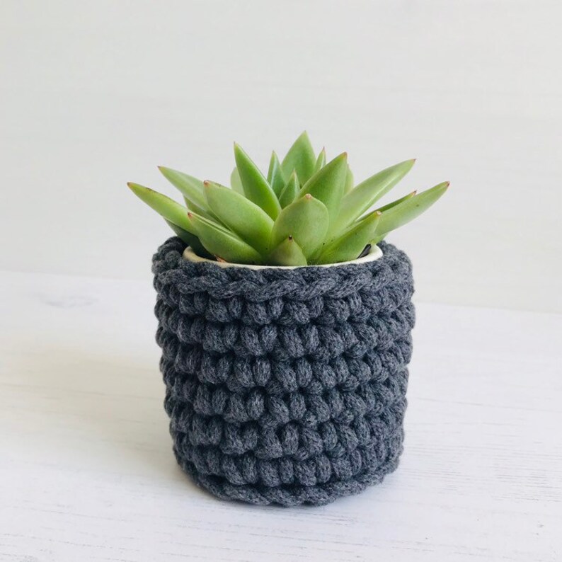 Succulent planter small plant pot cover teachers gift Etsy