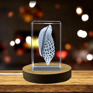 3D Junonia Seashell Crystal Trophy – Engraved Recognition Award, Coastal Home Decor & Unique Collectible Gift