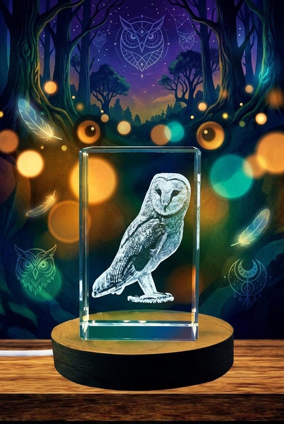 3D Engraved Barn Owl Crystal - Wildlife Recognition Keepsake With
