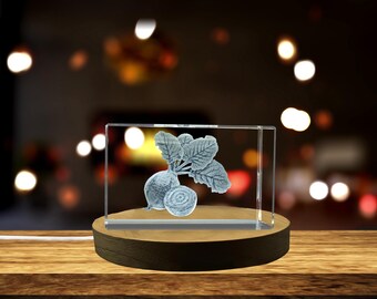 Beetroot 3D Engraved Crystal Kitchen Gift | Unique Award, Trophy & Recognition Keepsake, Collectible Decorative Crystal