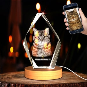 Personalized Pet 3D Engraved Crystal Photo Gift pet Loss, Dog Memorial, pet sympathy gift image 10