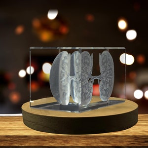 Doctors Gift 3D Engraved Crystal - Urinary Bladder Anatomy Keepsake With LED Base
