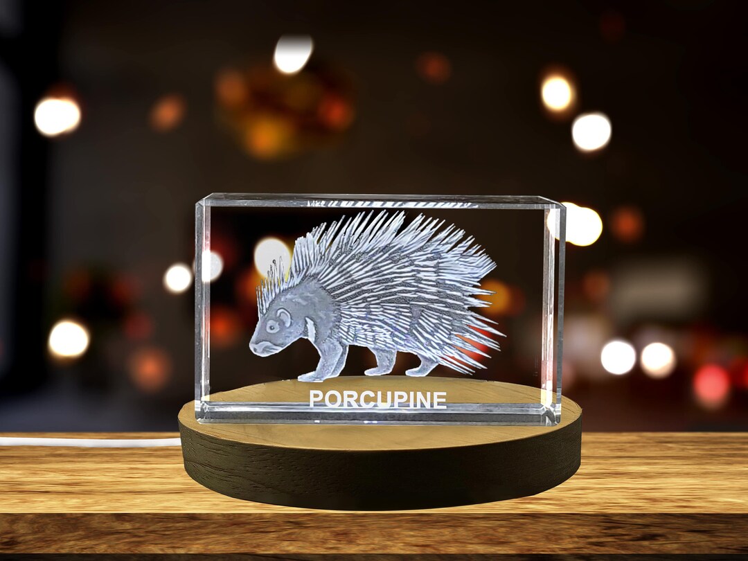 Porcupine Enigma 3D Engraved Crystal Keepsake Etsy