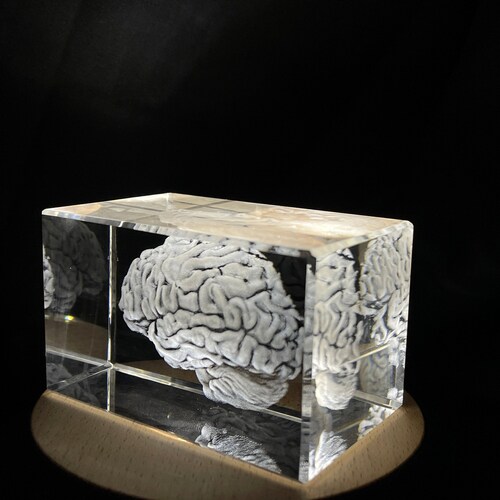 Brain Art 3D Engraved Crystal Keepsake Gift/decor - Etsy