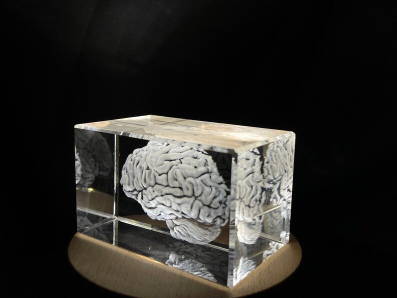 Brain Art 3D Engraved Crystal Keepsake Gift/decor - Etsy
