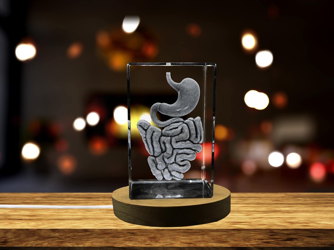 Intestine 3D Engraved Crystal Keepsake Gift for Gastroenterologist ...