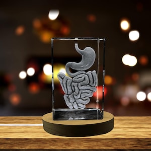 Intestine | Gift For Gastroenterologist | Doctor Gift