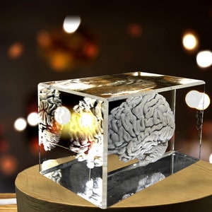 Brain Art 3D Engraved Crystal Keepsake Gift/Decor Collectible Souvenir Personalized-3d-Crystal-Photo-Gift Customized-3d-Photo-En image 3