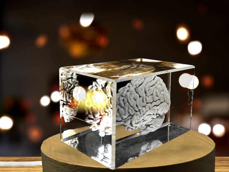 Brain Art 3D Engraved Crystal Keepsake Gift/Decor Collectible Souvenir Personalized-3d-Crystal-Photo-Gift Customized-3d-Photo-En image 3