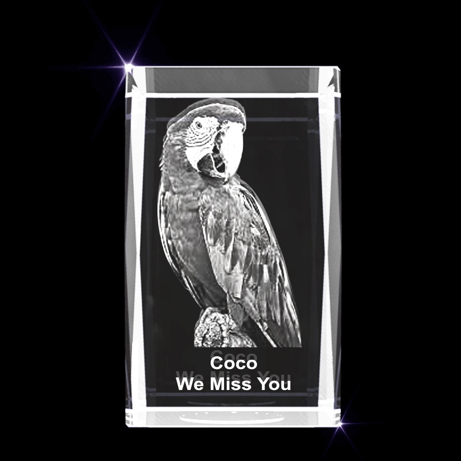 Etched glass hot sale pet memorials