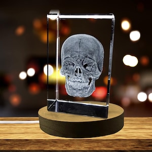 Human Skull 3D Engraved Crystal Novelty Decor